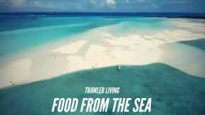 LOBSTER Catch, Clean, and Eat || Man-O-War Sand Bar, Exploring Great Exuma || Trawler Living | S2E29