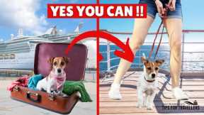 I Have Found 6 Epic PET-FRIENDLY CRUISES !!