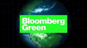 Bloomberg Green: Sustainable Vacations and the Rise of Ecotourism