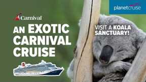 Explore exotic destinations with Carnival Cruise & visit a koala sanctuary | Planet Cruise