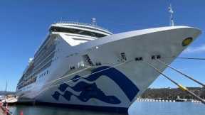 Majestic Princess cruise reports 800 COVID cases