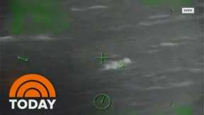 Video: Cruise Ship Passenger Saved After Falling Into Gulf Of Mexico