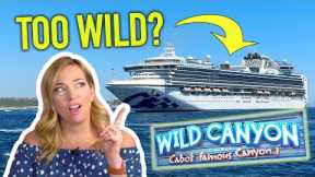 Sapphire Princess CRUISE Vlog - Is this Cabo Excursion *TOO* Wild?