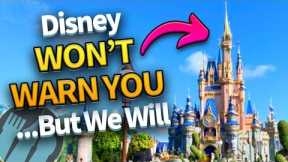 20 Things They Won’t Warn You About in Disney World