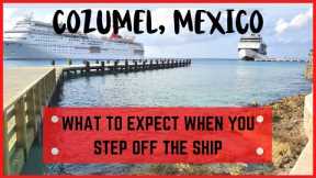 Cozumel Mexico Cruise Port Tour/Guide