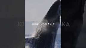 Journey Alaska with Celebrity Cruises