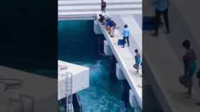 Man Falls off Cruise Ship!