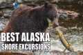 Best Alaska Cruise Excursions at Your 