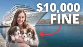 CRUISE NEWS | Alaska Cruise Passenger Pays Ultimate Price | Shocking Fine