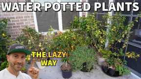 The Laziest Way To Water Potted Plants While Away On Vacation