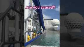 Are You Scared? Royal Caribbean Cruise Slides #shorts #royalcaribbean #libertyoftheseas