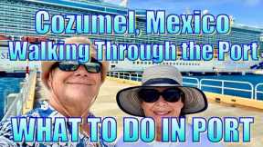 Cozumel  Mexico - Walking Through the Port - What to Do on Your Day in Port