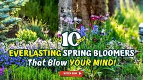 TOP 10 EVERLASTING SPRING BLOOMERS That Blow YOUR MIND! 💥🌻🚀 // Gardening Ideas