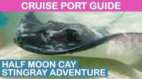 Half Moon Cay (Bahamas) Cruise Port Guide: Stingray Adventure