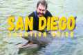 A True Vacation City: San Diego