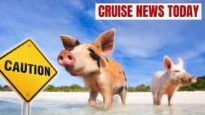 Swimming with Pigs Excursion Leaves Guest Sick, Cruise Drink Package