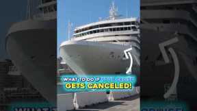 What If Your Cruise Is Cancelled? #shorts #cruisetips